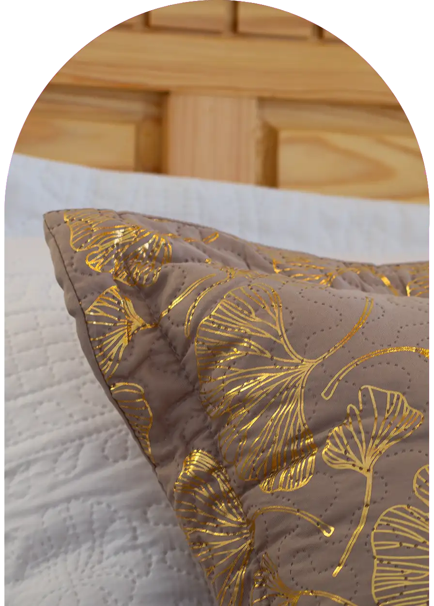 Gros plan sur un oreiller en tissu satiné avec broderies dorées, détail de décoration d’un riad à Essaouira