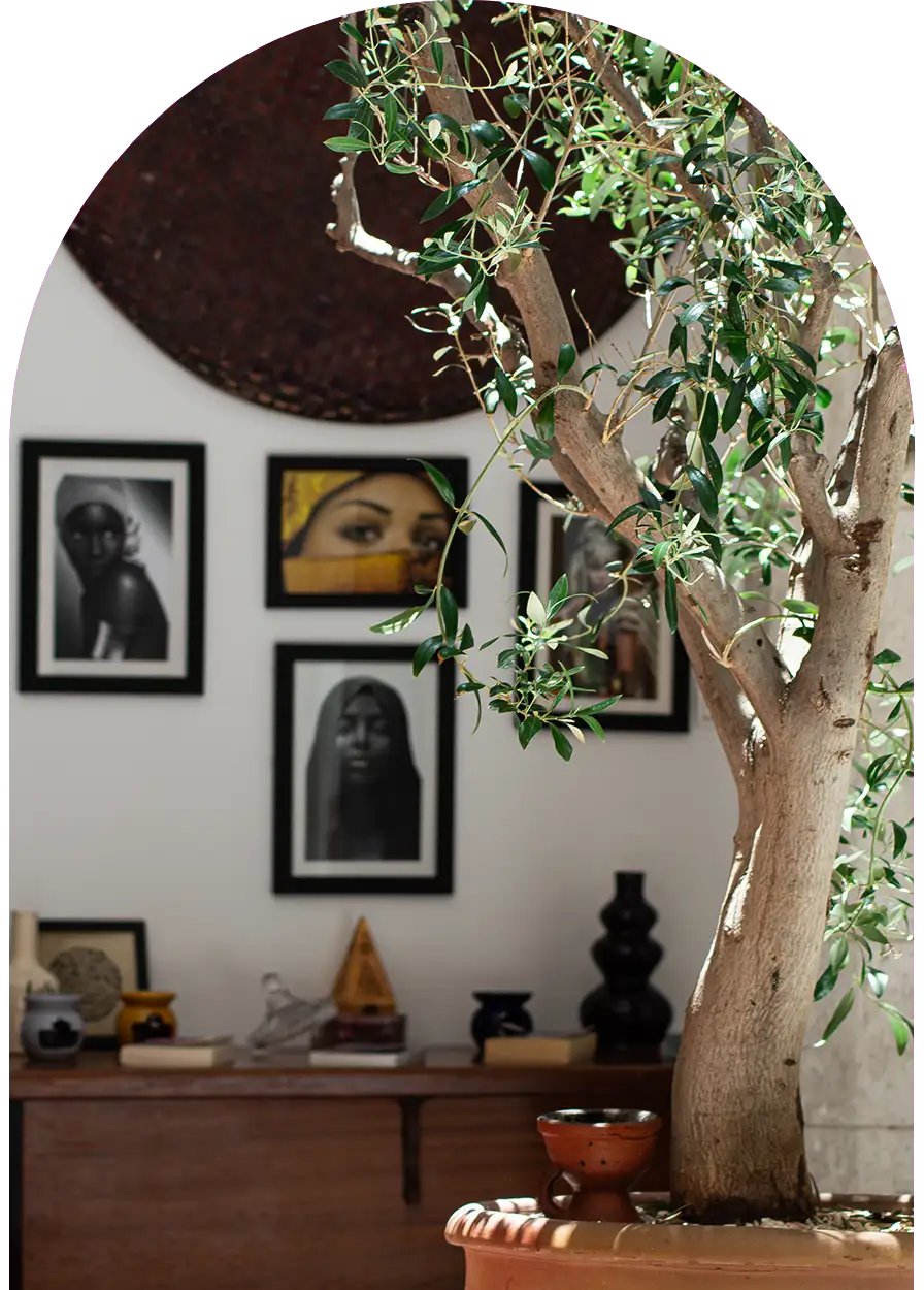 Détails du patio du riad à Essaouira : arbre intérieur, décoration marocaine et portraits muraux.